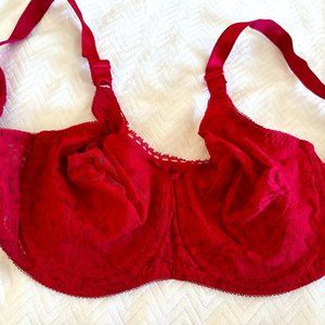 Hot Pink Lace underwire Bra 36D